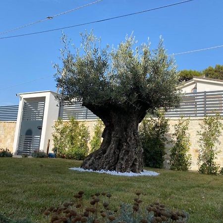 Villa Palladino Rooms Giovinazzo Exteriör bild